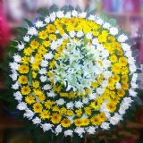 兰州开业花篮