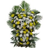 兰州开业花篮